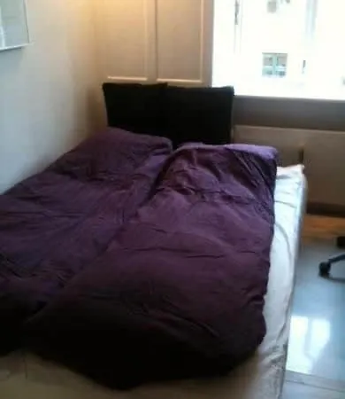 Beautiful And Classic Kopenhaga